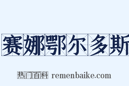 赛娜鄂尔多斯是什么意思的图片